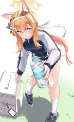 Rule 34 | 1girl, absurdres, animal ear fluff, animal ears, black footwear, black shorts, blue archive, blue eyes, bottle, breasts, cat ears, cat girl, commentary, cooler, flower, full body, grass, hair flower, hair ornament, hairband, halo, highres, holding, holding bottle, jacket, long hair, long sleeves, looking at viewer, mari (blue archive), mari (track) (blue archive), moruhinesan, official alternate costume, official alternate hairstyle, orange hair, plastic bottle, ponytail, shoes, short shorts, shorts, sidelocks, small breasts, socks, solo, track jacket, water bottle, white socks, yellow halo