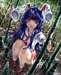Rule 34 | 2girls, animal ears, bamboo, bamboo forest, barefoot, black hair, dress, forest, full body, inaba tewi, kabaji, long hair, looking at viewer, multiple girls, nature, necktie, oil painting (medium), open mouth, painting (medium), pink dress, puffy sleeves, purple hair, rabbit ears, red eyes, reisen udongein inaba, shirt, shoes, short hair, short sleeves, skirt, smile, socks, squatting, touhou, traditional media, white legwear