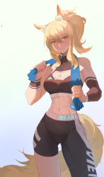 Rule 34 | 1girl, abs, absurdres, animal ear fluff, animal ears, arknights, arm warmers, asymmetrical legwear, bare shoulders, black bra, black pants, blonde hair, blue background, blue towel, bra, character name, cleavage cutout, clothing cutout, commentary request, covered collarbone, cowboy shot, drying, fanfanfanlove, gradient background, hands up, highres, holding, holding towel, horse ears, horse girl, horse tail, blue background, linea alba, long hair, looking at viewer, midriff, navel, nearl (arknights), pants, parted lips, ponytail, skin tight, solo, sports bra, sweat, tail, teeth, toned, towel, underwear, uneven legwear, wristband, yellow eyes, yoga pants