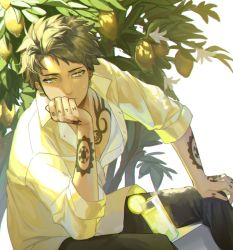 Rule 34 | 1boy, arm tattoo, black hair, black pants, bow (tanaka 1001), bush, chest tattoo, commentary request, crying, crying with eyes open, cup, drinking glass, dutch angle, earrings, elbow on knee, food, fruit, fruit tree, grey hair, hand tattoo, head rest, highres, jewelry, lemon, male focus, one piece, pants, partially unbuttoned, shirt, short hair, sitting, sleeves rolled up, solo, tattoo, tears, trafalgar law, tree, white shirt, yellow eyes
