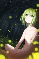 Rule 34 | 1girl, antennae, blurry, breasts, completely nude, depth of field, dutch angle, expressionless, fireflies, forest, green eyes, green hair, hair between eyes, highres, indian style, looking up, nature, night, nipples, nude, outdoors, ri-el, short hair, sitting, small breasts, solo, touhou, tree, wriggle day, wriggle nightbug
