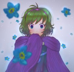 Rule 34 | 1girl, bad id, bad twitter id, blue eyes, cloak, covered mouth, fire emblem, fire emblem: the blazing blade, floral background, flower, green hair, lijupy, looking at viewer, nino (fire emblem), nintendo, petals, solo, solo focus