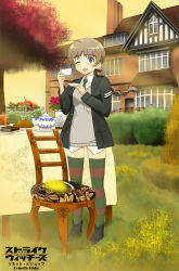 Rule 34 | 1girl, bad id, bad pixiv id, blue eyes, book, brown hair, chair, character name, cup, food, fruit, hair ribbon, house, joyz2008, long hair, lynette bishop, military, military uniform, necktie, one eye closed, outdoors, ponytail, ribbon, solo, strike witches, sunset, table, tea set, teacup, thighhighs, uniform, wink, world witches series