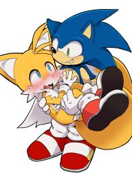 Rule 34 | 2boys, animal ears, blush, carrying, dagashi (daga2626), fox, fox ears, fox tail, furry, gloves, grin, hedgehog, highres, looking at another, tails (sonic), multiple boys, multiple tails, open mouth, princess carry, shoe soles, shoes, simple background, smile, sonic (series), sonic the hedgehog, standing, sweat, tail, white background, white gloves, yaoi