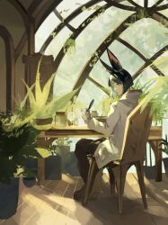 Rule 34 | 1boy, absurdres, animal ears, black hair, genshin impact, gloves, green hair, highres, holding, holding quill, hood, hood down, indoors, jacket, on chair, plant, potted plant, quill, round window, short hair, sitting, solo, tighnari (genshin impact), white gloves, white jacket, window, wooden floor, zuu (kyuudo9)