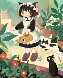 Rule 34 | 1girl, animal, animal ear fluff, animal ears, apron, black cat, black dress, black eyes, black hair, brown footwear, cat, cat ears, cat girl, cat tail, closed mouth, commission, day, dress, flower, frilled apron, frills, full body, holding, holding watering can, light blush, long sleeves, looking at viewer, maid, maid apron, maid headdress, mamei mema, original, outdoors, plant, potted plant, red flower, shoes, short hair, skeb commission, socks, solo, standing, tail, tareme, watering can, white apron, white socks