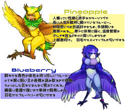 Rule 34 | 2girls, animal ears, bachikin (kingyo155), bird ears, bird legs, bird tail, blonde hair, blue eyes, blue feathers, blue hair, blue wings, blueberry (bachikin), brown feathers, brown wings, claws, commentary request, fangs, feathered wings, feathers, food-themed creature, green feathers, green hair, harpy, heterochromia, highres, monster girl, multicolored hair, multiple girls, neck fur, open mouth, original, pineapple (bachikin), purple eyes, short hair, simple background, tail, talons, tan, translation request, two-tone hair, two-tone wings, white background, winged arms, wings, yellow feathers, yellow wings