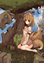 Rule 34 | 1girl, animal ears, bad id, bad pixiv id, barefoot, female focus, flat chest, fox ears, fox tail, fuurin (omaemona), multiple tails, nature, original, outdoors, sky, solo, tail