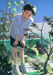Rule 34 | 1boy, absurdres, bandaid, bandaid on face, black hair, black shorts, blue sky, blush, chenpeipeiii, flower, hands on own knees, highres, leaf, leaning forward, looking at viewer, looking up, male focus, mole, mole under eye, mole under mouth, nose blush, original, oversized clothes, railing, rooftop, shirt, short hair, shorts, sky, smile, summer, white shirt, white sneakers