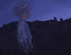 Rule 34 | 1boy, bad id, bad twitter id, closed mouth, from side, grass, highres, hunter x hunter, killua zoldyck, male focus, outdoors, profile, shirt, sky, solo, spiked hair, standing, star (sky), tall grass, toripippi 7, white shirt