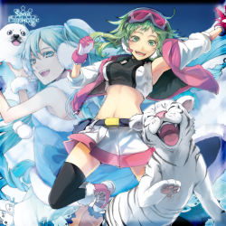 Rule 34 | 2girls, aqua eyes, aqua hair, armpits, bad id, bad pixiv id, belt, belt pouch, black legwear, blue eyes, blue hair, boots, crop top, earmuffs, fur trim, gloves, goggles, goggles on head, green eyes, green hair, grey hair, gumi, hatsune miku, headset, jacket, long hair, midriff, multiple girls, navel, open clothes, open jacket, open mouth, pouch, rahwia, ringlets, seal (animal), skirt, sleeves pushed up, thighhighs, tiger, twintails, vocaloid, white tiger