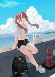 Rule 34 | 1girl, backpack, bag, blue sky, blush, brown hair, cloud, crop top, daluto (hitomi555), day, dolphin shorts, full body, highres, horizon, light smile, long hair, looking at viewer, navel, ocean, original, outdoors, parted lips, pink eyes, pink hair, shirt, shoes, short shorts, shorts, sitting, sky, sneakers, solo, traffic cone, twintails, wind