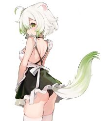 Rule 34 | 1girl, ahoge, animal ears, apron, ass, back, black panties, black skirt, blush, closed mouth, colored tips, commentary, english commentary, ferret ears, ferret girl, ferret tail, flying sweatdrops, from behind, gradient tail, green eyes, green hair, green tail, hair between eyes, halterneck, laimu (vtuber), looking at viewer, maid apron, multicolored hair, panties, short hair, simple background, skindentation, skirt, solo, tail, thighhighs, underwear, vinesauce, virtual youtuber, wavy mouth, wedgie, white background, white hair, white tail, white thighhighs, yenkoes