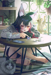Rule 34 | 1girl, :o, absurdres, animal ear fluff, animal ears, bare legs, barefoot, black hair, blush, brown eyes, cat, cellphone, cup, full body, glint, hair between eyes, hanging plant, highres, hololive, indoors, long sleeves, midori matsukaze, multicolored hair, ookami mio, ookami mio (casual), phone, red hair, sitting, smartphone, solo, streaked hair, sunlight, table, taiga (ookami mio), tawa (ookami mio), virtual youtuber, wolf ears
