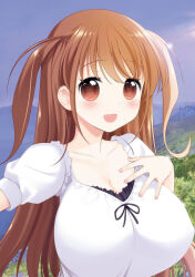 Rule 34 | 1girl, :o, blush, breasts, brown eyes, brown hair, character request, cleavage, cloud, day, eyebrows hidden by hair, female focus, frills, grass, hand on own chest, happy, highres, huge breasts, kobayashi ritz, lace, long hair, looking at viewer, official art, open mouth, outdoors, saki (manga), sky, smile, solo, twintails, upper body