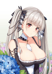 Rule 34 | 1girl, azur lane, bare shoulders, between breasts, black bow, black dress, blue flower, bow, breasts, cleavage, closed mouth, collarbone, detached collar, dress, earrings, flower, formidable (azur lane), frilled dress, frills, hair bow, head tilt, highres, hydrangea, jewelry, large breasts, long hair, looking at viewer, red eyes, red plate (kyuu45), silver hair, solo, twintails, upper body, white background