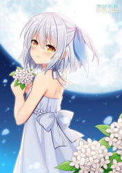 Rule 34 | 1girl, backlighting, bad id, bad pixiv id, bare arms, bare shoulders, blush, bouquet, bow, brown eyes, commentary request, dress, flower, from side, full moon, grey bow, halterneck, hitsuki rei, holding, holding bouquet, looking at viewer, looking to the side, moon, night, night sky, original, outdoors, short hair, silver hair, sky, sleeveless, sleeveless dress, solo, tareme, white flower