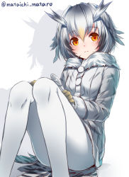 Rule 34 | 10s, 1girl, blush, breasts, brown eyes, brown hair, buttons, closed mouth, coat, commentary request, convenient leg, fur collar, grey coat, grey hair, hair between eyes, holding, holding spoon, kemono friends, knees up, long sleeves, looking at viewer, mataichi mataro, multicolored hair, northern white-faced owl (kemono friends), pantyhose, shadow, short hair, sitting, small breasts, solo, spoon, tail, twitter username, white background, white hair, white pantyhose