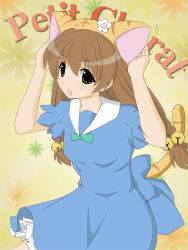 Rule 34 | 1girl, animal ears, animal hat, bell, blue dress, bow, breasts, brown eyes, brown hair, cat ears, cat hat, character name, di gi charat, dress, fake animal ears, female focus, flower, green bow, hair bell, hair ornament, hat, long hair, matching hair/eyes, monamonamax, open mouth, puchiko, sailor collar, short sleeves, small breasts, solo, tail, twintails, white sailor collar