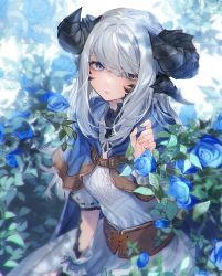 Rule 34 | 1girl, au ra, warrior of light (ff14), blue cloak, blue eyes, blue flower, blue rose, cloak, commentary, curled horns, dragon horns, dress, feet out of frame, final fantasy, final fantasy xiv, flower, grey hair, hand up, highres, hood, hood down, hooded cloak, horns, karurururuun, leaf, long hair, looking at viewer, multiple horns, rose, scales, seiza, sitting, solo, swept bangs, symbol-only commentary, uneven eyes, white background, white dress, wrist cuffs