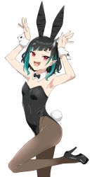 Rule 34 | 1girl, nanashi inc., akitetsu, alternate costume, animal ears, black bow, black bowtie, black footwear, black hair, black leotard, black pantyhose, blue hair, blush, bow, bowtie, demon girl, demon horns, detached collar, fake animal ears, fake tail, fang, flat chest, foot out of frame, high heels, highres, horns, leg up, leotard, looking at viewer, medium hair, multicolored hair, open mouth, pantyhose, playboy bunny, pointy ears, rabbit ears, rabbit pose, rabbit tail, red eyes, shishio chris, simple background, smile, solo, strapless, strapless leotard, sugar lyric, tail, two-tone hair, virtual youtuber, white background, wrist cuffs