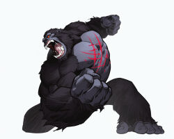 Rule 34 | abs, absurdres, ape, blood, chibi, crossover, fangs, giant, giant monster, godzilla (series), godzilla x kong: the new empire, gorilla, highres, injury, kaijuu, king kong, king kong (series), legendary pictures, monster, monsterverse, muscular, muscular arms, muscular legs, muscular male, muscular other, no humans, no pupils, onion maru, open mouth, orange eyes, pectorals, roaring, scar, scar on chest, scar on stomach, sharp teeth, simple background, teeth, toho, tongue, white background
