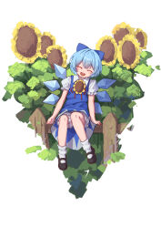 Rule 34 | 1girl, absurdres, black footwear, blue bow, blue dress, blue hair, blush, bow, cirno, collared shirt, dress, facing viewer, fairy, full body, hair bow, highres, ice, ice wings, open mouth, rangque (user vjjs4748), shirt, shoes, short hair, short sleeves, smile, socks, solo, touhou, white shirt, white socks, wings