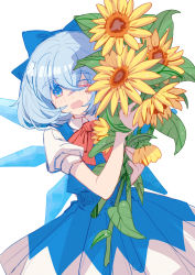 Rule 34 | 1girl, absurdres, blue bow, blue dress, blue eyes, blue hair, blush, bow, cirno, dress, flower, highres, holding, holding flower, ice, ice wings, looking at viewer, red ribbon, ribbon, shirt, shocho (shaojiujiu), short hair, solo, sunflower, sweat, touhou, white background, white shirt, wings