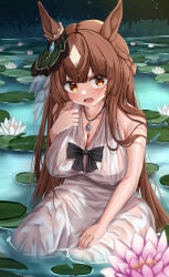 Rule 34 | 1girl, absurdres, animal ears, bare shoulders, blush, braid, breasts, brown hair, cleavage, commentary request, dress, ear ornament, flower, french braid, hair between eyes, highres, horse ears, horse girl, horse tail, jewelry, large breasts, lily (flower), lily pad, long hair, looking at viewer, multicolored hair, necklace, on ground, open mouth, outdoors, partially submerged, satono diamond (umamusume), see-through, see-through dress, sleeveless, sleeveless dress, solo, streaked hair, tabunshake, tail, umamusume, very long hair, water, wet, wet clothes, wet dress, wet hair, white hair, yellow eyes