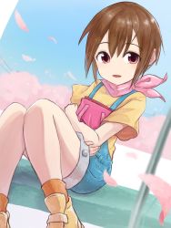 Rule 34 | 1girl, brown eyes, brown hair, cherry blossoms, digimon, digimon adventure: (2020), dutch angle, highres, looking at viewer, open mouth, outdoors, overalls, petals, scarf, shinbiko, short hair, sitting, smile, solo, yagami hikari