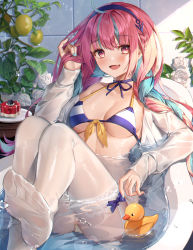 Rule 34 | 1girl, :d, absurdres, ahoge, ass, bad id, bad pixiv id, bare shoulders, bathing, bathtub, bikini, blue hair, blue nails, braid, breasts, choker, clothed bath, fang, feet, front-tie bikini top, front-tie top, hairband, halterneck, hand up, highres, hololive, huge filesize, knees up, long hair, looking at viewer, medium breasts, minato aqua, minato aqua (hololive summer 2019), minttchocok, multicolored hair, nail polish, no shoes, off shoulder, open clothes, open mouth, open shirt, pink eyes, pink hair, purple choker, ribbon choker, rubber duck, shirt, smile, solo, streaked hair, string bikini, swimsuit, thighhighs, two-tone hair, virtual youtuber, water, white shirt, white thighhighs