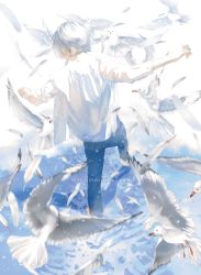 Rule 34 | androgynous, bird, blue pants, denim, facing away, feathers, from behind, full body, gender request, highres, jeans, original, pants, re degrees (red flagship), seagull, shirt, standing, watermark, web address, white feathers, white hair, white shirt