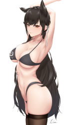 Rule 34 | 1girl, absurdres, animal ears, arms behind back, arms up, atago (azur lane), atago (stunning speedster) (azur lane), azur lane, bikini, black bikini, black hair, black thighhighs, breasts, brown eyes, cleavage, closed mouth, cowboy shot, dog ears, extra ears, from side, hair ribbon, highleg, highleg bikini, highres, ichikushi mojibake, large breasts, long hair, looking at viewer, mole, mole under eye, navel, official alternate costume, ribbon, signature, simple background, skindentation, smile, solo, swept bangs, swimsuit, thick thighs, thighhighs, thighs, tsurime, underboob, very long hair, white background