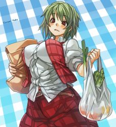 Rule 34 | 1girl, bag, blush, breasts, character name, green hair, groceries, grocery bag, impossible clothes, impossible shirt, kazami yuuka, large breasts, parted lips, perky breasts, plaid, plaid background, red eyes, revision, sachito, shirt, shopping bag, short hair, skirt, solo, standing, touhou, vest
