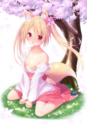 Rule 34 | 1girl, absurdres, animal ears, blonde hair, blush, bow, breasts, cherry blossoms, fang, fox ears, fox tail, hair bow, highres, japanese clothes, kimono, leanbox, long hair, nipples, obi, off shoulder, original, petals, sandals, sasakura momiji, sash, sitting, small breasts, solo, tail, tree, twintails, v arms, wariza