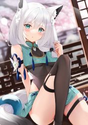 Rule 34 | 1girl, :o, animal ear fluff, animal ears, arm strap, black leotard, black thighhighs, blue skirt, blurry, blurry background, blush, breasts, cherry blossoms, cleavage, commentary request, fox ears, fox girl, fox tail, green eyes, hair between eyes, highres, hino kagutsuki, hololive, knee up, leotard, long hair, looking at viewer, medium breasts, see-through, see-through cleavage, shirakami fubuki, sidelocks, single thighhigh, sitting, skirt, solo, tail, thigh strap, thighhighs, virtual youtuber, white hair