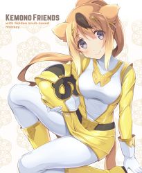 Rule 34 | 10s, 1girl, animal ears, bad id, bad pixiv id, belt, blonde hair, blue eyes, boots, breasts, character name, commentary request, copyright name, english text, gloves, golden snub-nosed monkey (kemono friends), hair ornament, head tilt, helmet, holding, holding helmet, itoichi., jacket, japari symbol, kemono friends, long hair, long sleeves, looking at viewer, medium breasts, monkey ears, monkey tail, multicolored hair, pantyhose, parody, ponytail, sidelocks, smile, solo, super sentai, tail, two-tone hair, white gloves, white pantyhose, yellow footwear