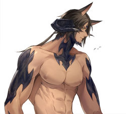 Rule 34 | 1boy, abs, animal ears, au ra, bara, beard, brown hair, cat ears, completely nude, dark-skinned male, dark skin, demon boy, demon horns, demon tail, dragon boy, dragon horns, dragon tail, facial hair, final fantasy, final fantasy xiv, from side, horns, kemonomimi mode, long hair, looking at viewer, male focus, muscular, muscular male, nipples, nude, pectorals, ponytail, red eyes, scales, seum (kao husband), solo, stomach, tail, warrior of light (ff14)