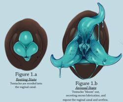 Rule 34 | copyright request, monster girl, non-web source, pussy, slime (substance), source request, tagme, tentacle pussy, tentacles