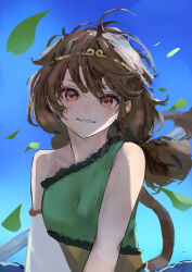 Rule 34 | 1girl, bare shoulders, blue dress, bo staff, brown eyes, brown hair, brown tail, circlet, commentary request, detached sleeves, dress, eneshi, frilled dress, frills, green dress, highres, leaf, monkey girl, monkey tail, multicolored clothes, multicolored dress, outdoors, prehensile tail, ruyi jingu bang, single-shoulder dress, single detached sleeve, single strap, solo, son biten, tail, touhou, white sleeves, yellow dress
