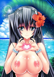 Rule 34 | 1girl, absurdres, bad id, bad pixiv id, blue eyes, breasts, cleavage, cloud, day, female focus, flower, flower on head, grey hair, hair flower, hair ornament, heart, heart hands, hibiscus, highres, horizon ariadust, kyoukaisenjou no horizon, large breasts, lens flare, long hair, looking at viewer, mizutsuki rei, nipples, ocean, outdoors, palm tree, sky, smile, solo, topfreedom, topless, topless frame, tree, upper body, water, waves
