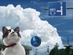 Rule 34 | blue sky, building, cat, cloud, cloudy sky, dated, day, matataku, no humans, original, outdoors, plant, sign, sky, surprised cat (matataku)