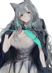 Rule 34 | 1girl, absurdres, aged up, alternate breast size, animal ears, aqua eyes, arknights, black cape, black gloves, breasts, cape, cat ears, cleavage, commentary, commentary request, dress, gloves, grey dress, grey hair, head tilt, highres, infection monitor (arknights), kajuu, large breasts, long hair, rosmontis (arknights), simple background, sleeveless, sleeveless dress, solo, upper body, very long hair, white background