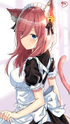Rule 34 | 1girl, akino ell, alternate costume, animal ear fluff, animal ears, apron, bell, black dress, black ribbon, blue eyes, blush, breasts, cat ears, cat girl, cat tail, closed mouth, clothes lift, dress, dress lift, enmaided, from behind, go-toubun no hanayome, hair bell, hair ornament, hair over one eye, hairband, highres, large breasts, lifted by self, looking back, maid, maid apron, maid headdress, nakano miku, puffy short sleeves, puffy sleeves, ribbon, short sleeves, sidelocks, signature, smile, solo, tail, tareme, white apron