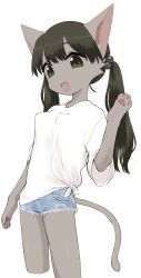 Rule 34 | 1girl, 3yo4yo5yo, :d, akane (3yo4yo5yo), animal ears, animal hands, black hair, breasts, brown eyes, cat ears, cat girl, cat paws, cat tail, fang, furry, hair bobbles, hair ornament, highres, long hair, low twintails, open mouth, original, pawpads, short shorts, shorts, simple background, small breasts, smile, tail, twintails, white background