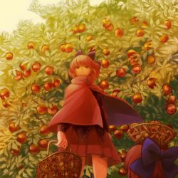 Rule 34 | 1girl, apple, apple tree, basket, black shirt, bow, cape, commentary request, cowboy shot, cropped legs, day, disembodied head, expressionless, floating head, food, from below, fruit, hair bow, holding, holding basket, long sleeves, looking at viewer, object on head, outdoors, pleated skirt, red cape, red eyes, red hair, red skirt, reika winter, sekibanki, shirt, short hair, skirt, solo, standing, touhou, tree, wind, wind lift