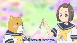 Rule 34 | 10s, 1girl, animal, animated, animated gif, chopsticks, dog, lowres, naho (shiba inuko-san), school uniform, shiba inu, shiba inuko, shiba inuko-san, subtitled