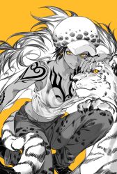 Rule 34 | 1girl, animal ears, breasts, chest tattoo, earrings, genderswap, genderswap (mtf), hand tattoo, hat, heart, highres, jewelry, looking at viewer, medium breasts, one piece, pants, shirt, smile, tattoo, tiger, tiger ears, trafalgar law, transparent, white tiger, xuchuan, yellow eyes