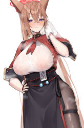 Rule 34 | 1girl, absurdres, animal ears, black skirt, blue archive, blush, breasts, brown hair, crossed bangs, dress, drying, fox ears, hair between eyes, halo, highres, holding, holding towel, huge breasts, large areolae, long hair, looking at viewer, mono (mo n mno), nipples, pantyhose, purple eyes, rumi (blue archive), see-through, shirt, skirt, smile, solo, steaming body, sweat, thigh strap, towel, very long hair, wet, wet clothes, white background
