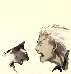 Rule 34 | 1boy, archer (fate), cat, crimo, dark skin, dark-skinned male, fate/stay night, fate (series), grey eyes, male focus, open mouth, profile, solo, white hair